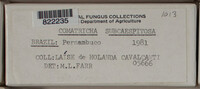Image Associated With the Occurence